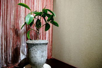 Coto Asakusa 1 Apartamento Tokio